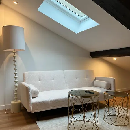 Appartement Barbera Casa Maja - Terrasse Saint-Etienne (Loire)